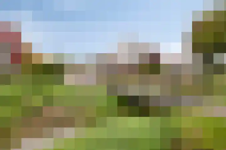 Erve Maatman 11 Oldenzaal thumbnail 28