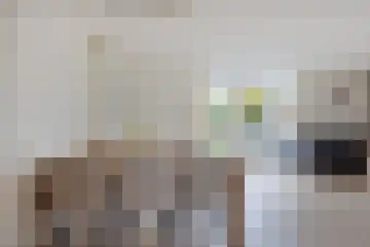 Erve Maatman 11 Oldenzaal thumbnail 6