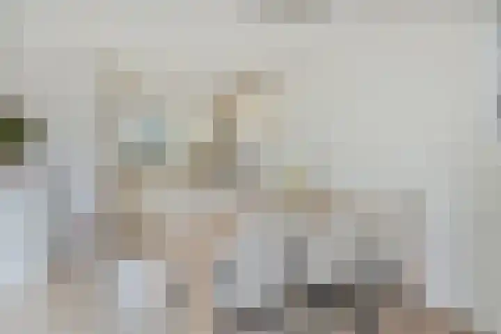 Erve Maatman 11 Oldenzaal thumbnail 7