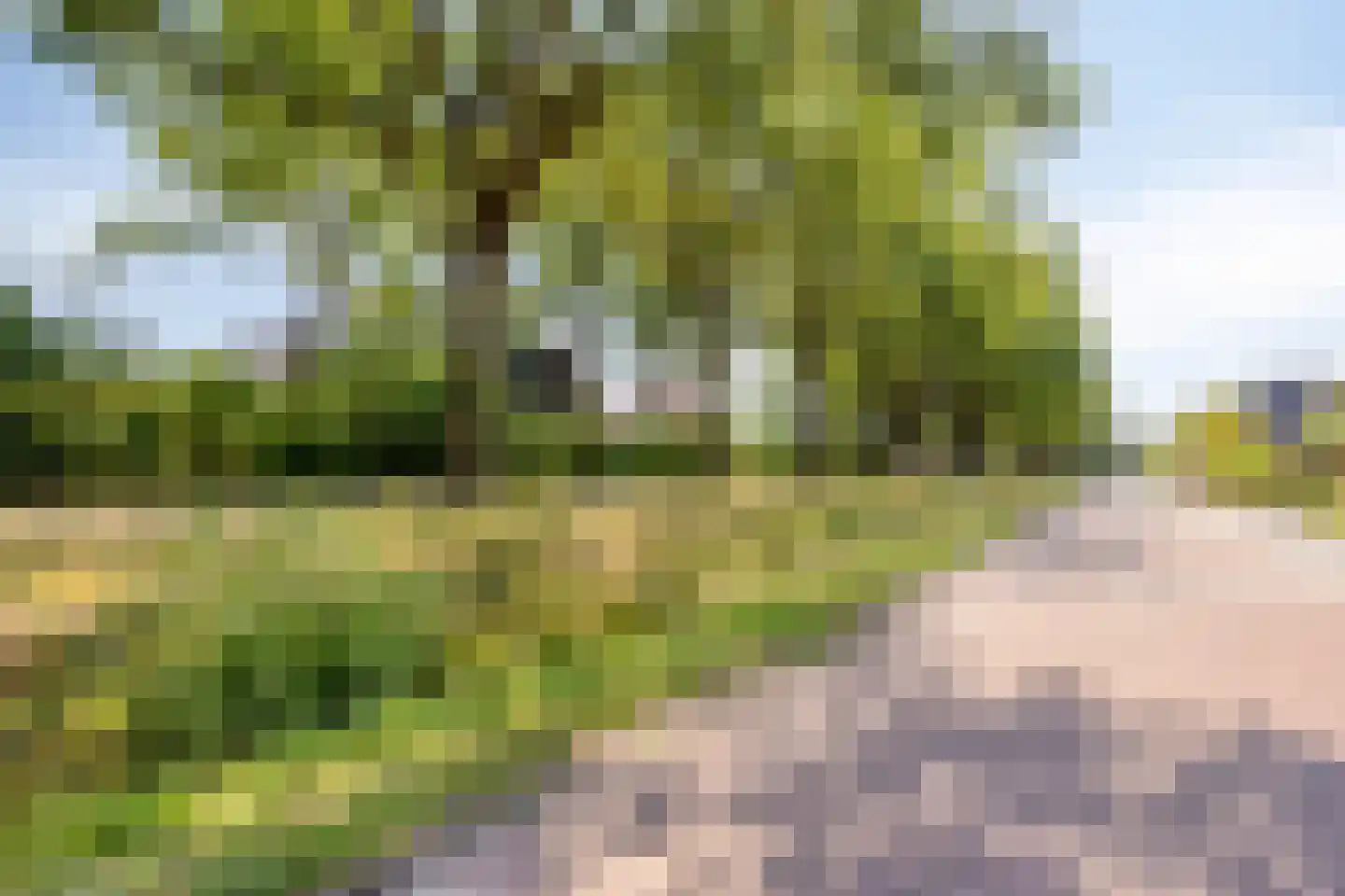 Erve Maatman 5 Oldenzaal thumbnail 32