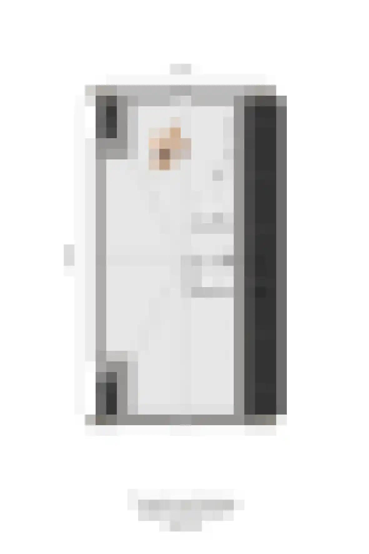 Erve Nijsinck 15 Hardenberg thumbnail 4