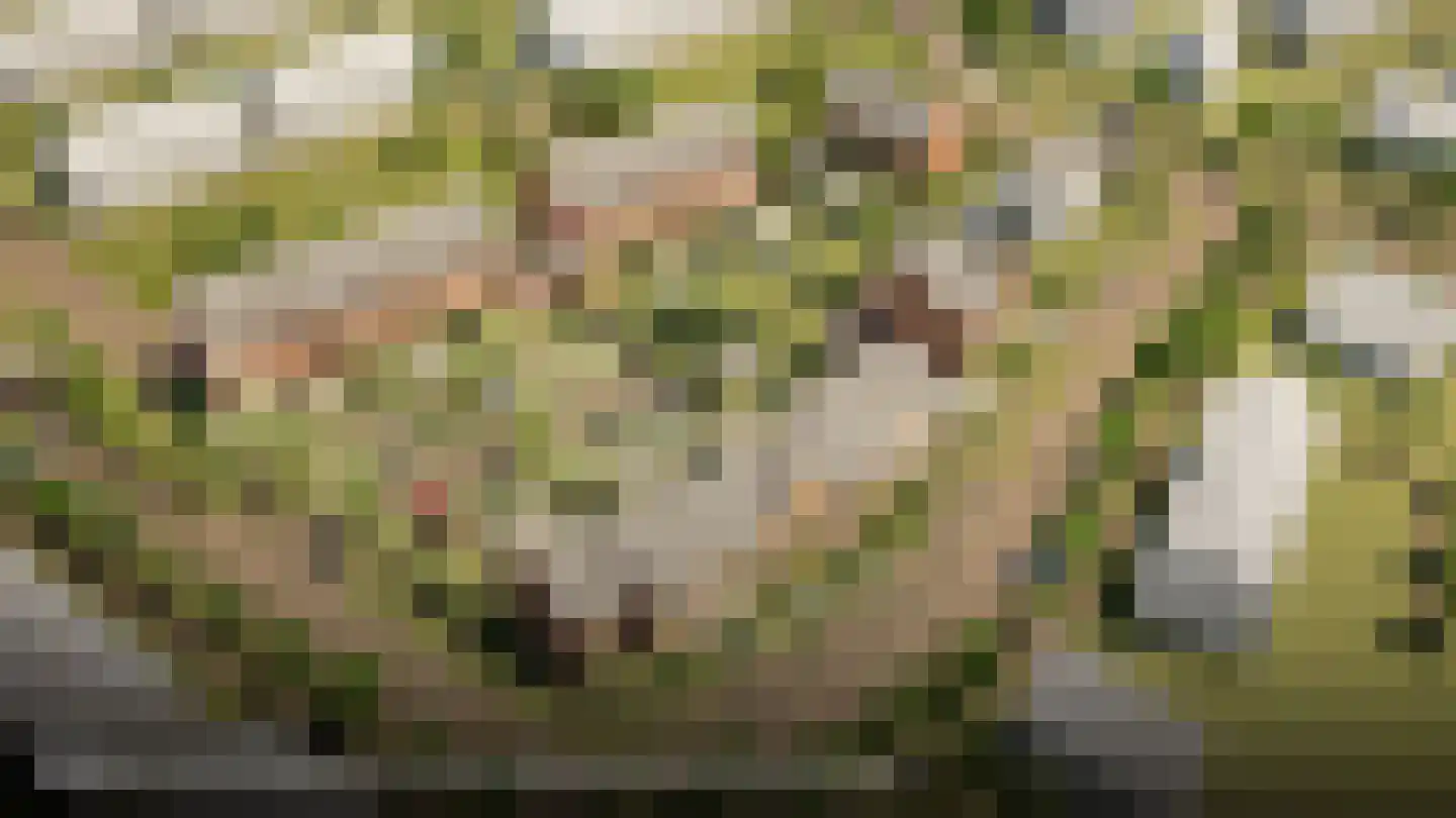 Erve Nijsinck 15 Hardenberg thumbnail 6