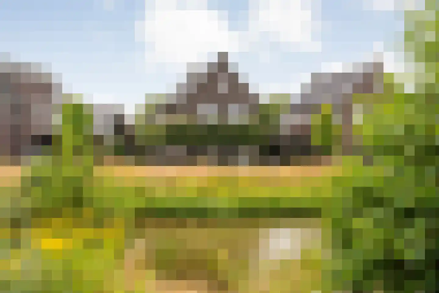 Erve Nijsinck 29 Hardenberg thumbnail 12