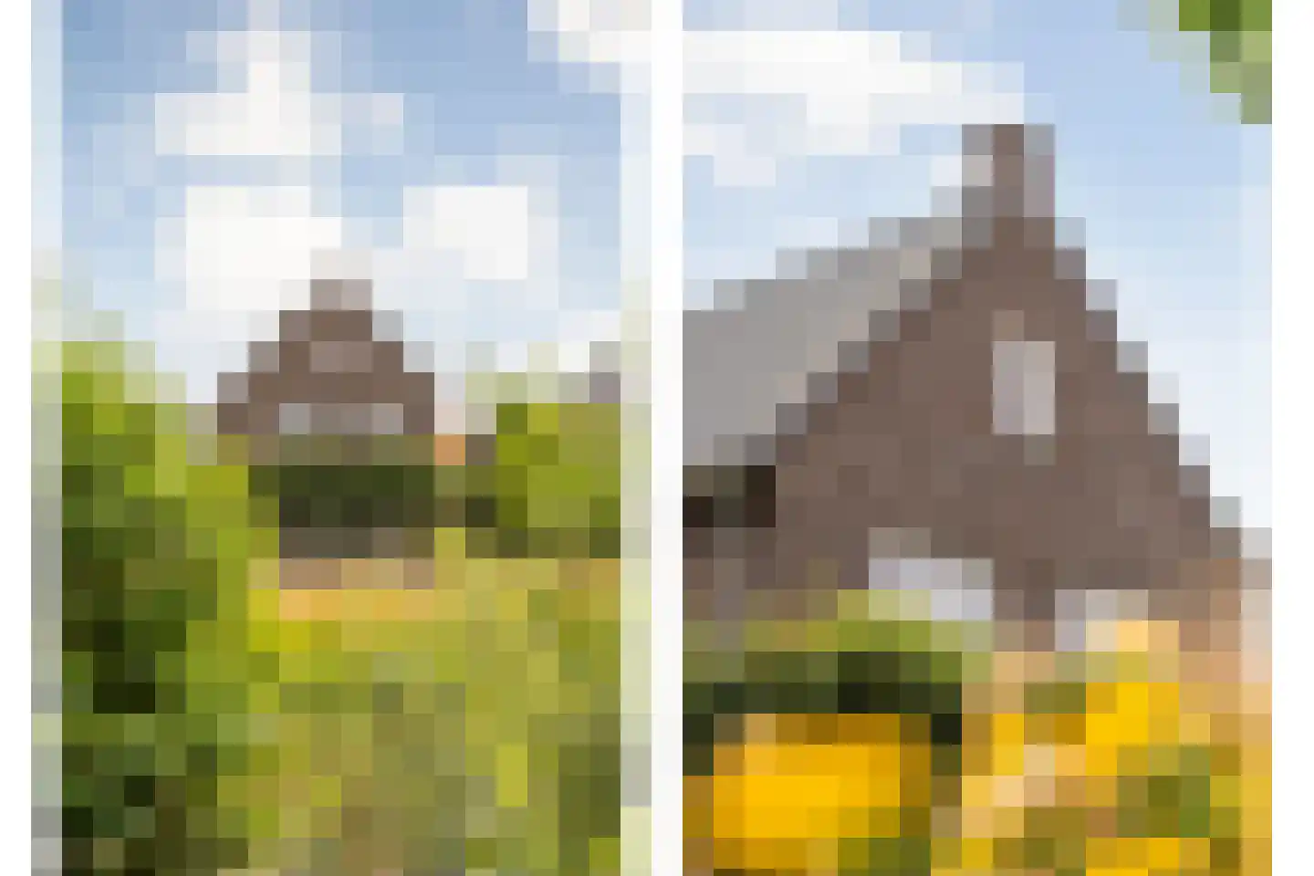 Erve Nijsinck 29 Hardenberg thumbnail 13