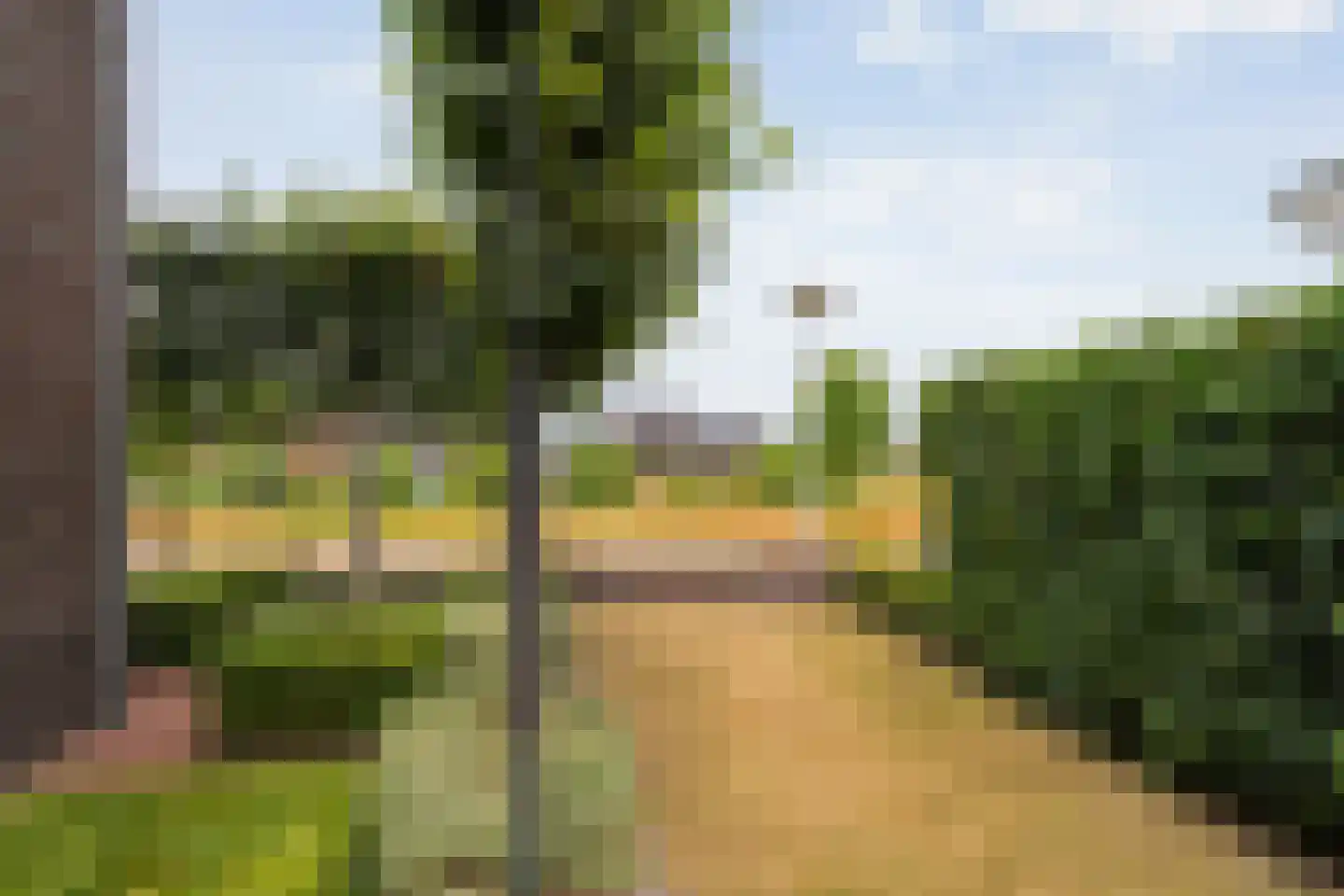 Erve Nijsinck 29 Hardenberg thumbnail 15