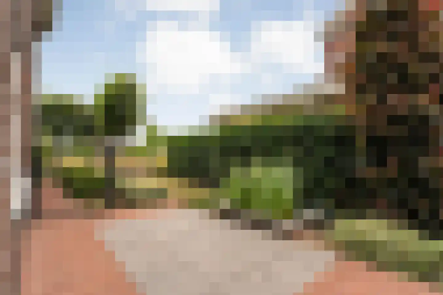 Erve Nijsinck 29 Hardenberg thumbnail 17