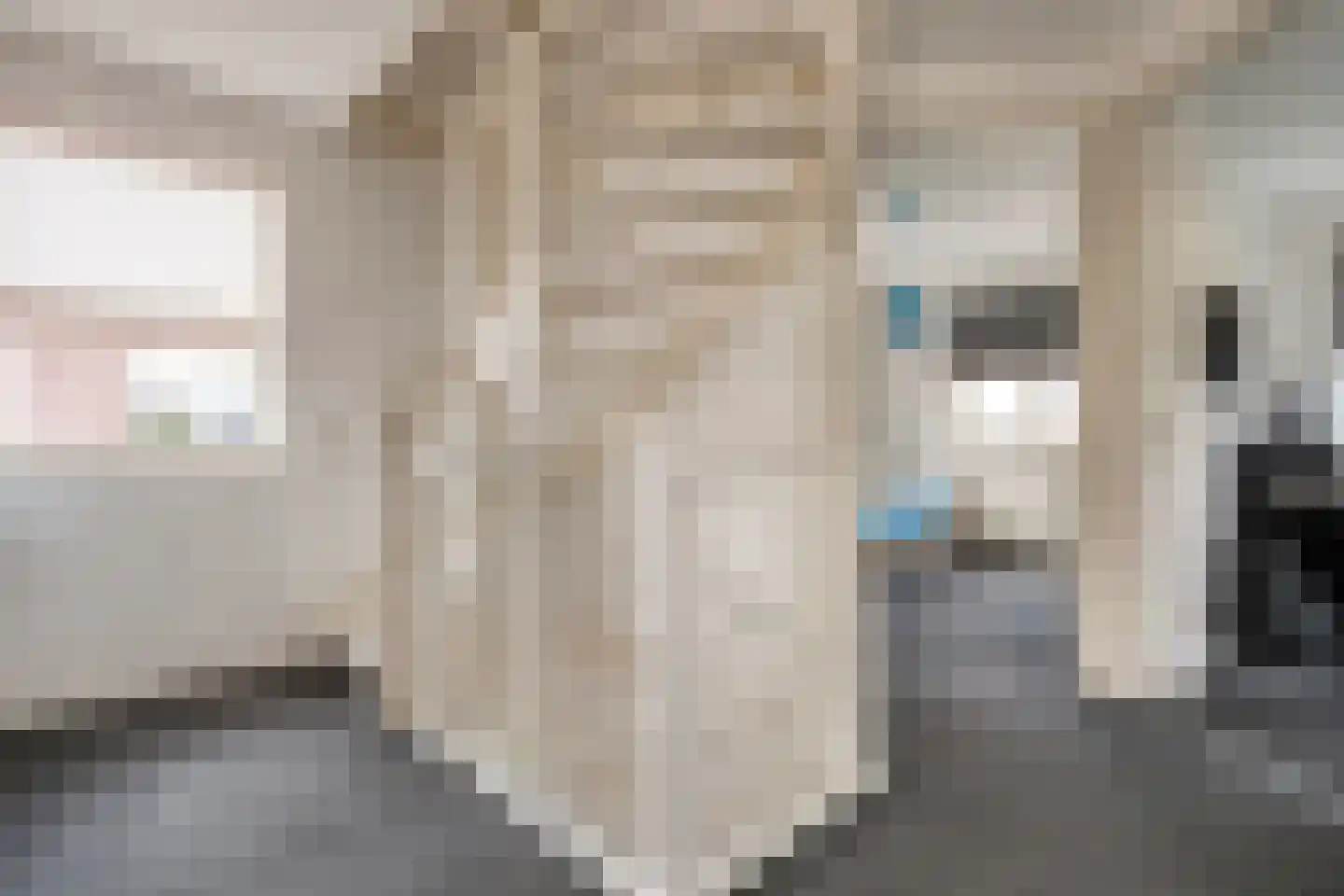 Erve Nijsinck 29 Hardenberg thumbnail 34