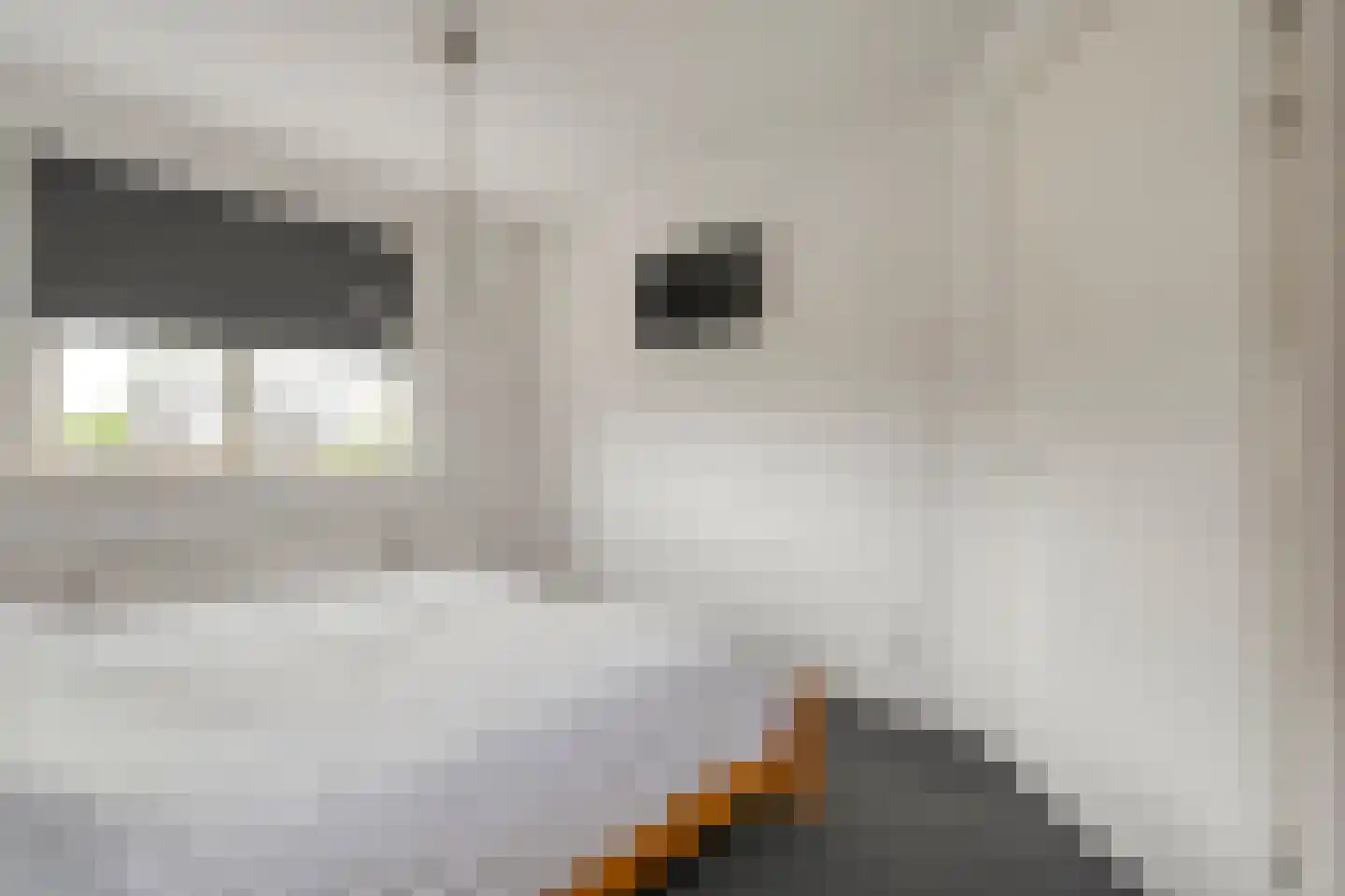 Erve Nijsinck 29 Hardenberg thumbnail 36