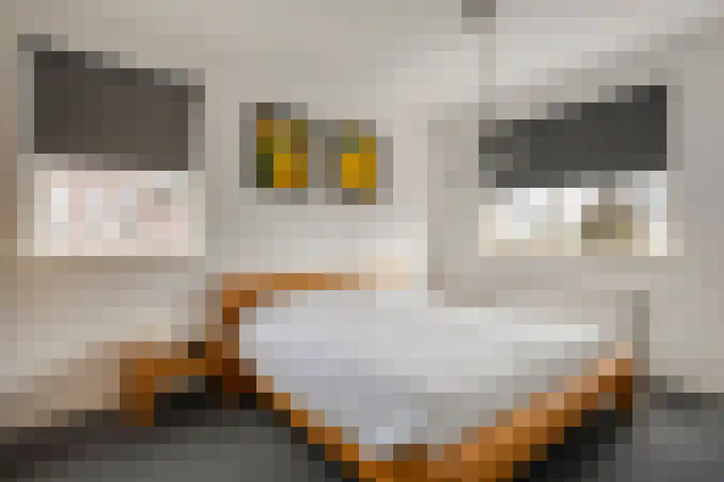 Erve Nijsinck 29 Hardenberg thumbnail 37
