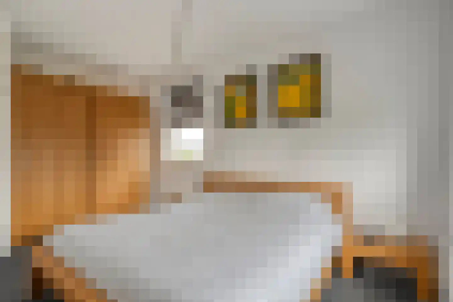 Erve Nijsinck 29 Hardenberg thumbnail 38
