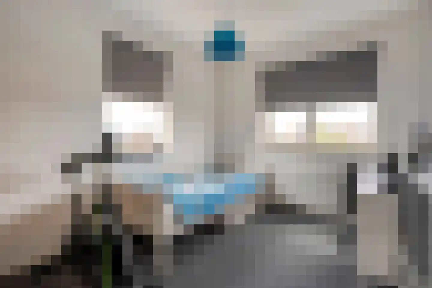 Erve Nijsinck 29 Hardenberg thumbnail 39