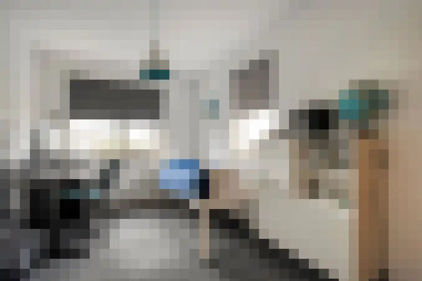 Erve Nijsinck 29 Hardenberg thumbnail 41