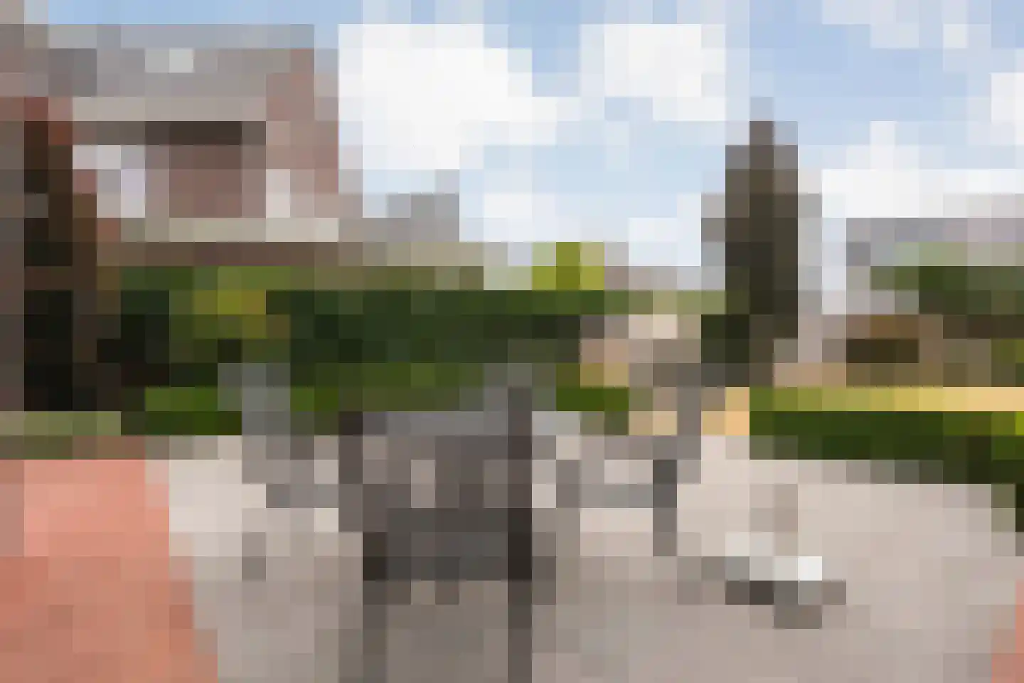 Erve Nijsinck 29 Hardenberg thumbnail 53