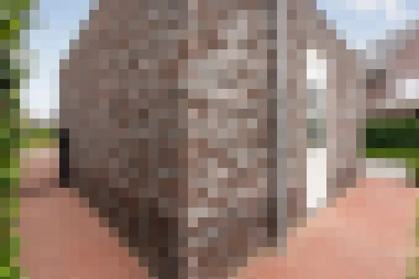 Erve Nijsinck 29 Hardenberg thumbnail 55