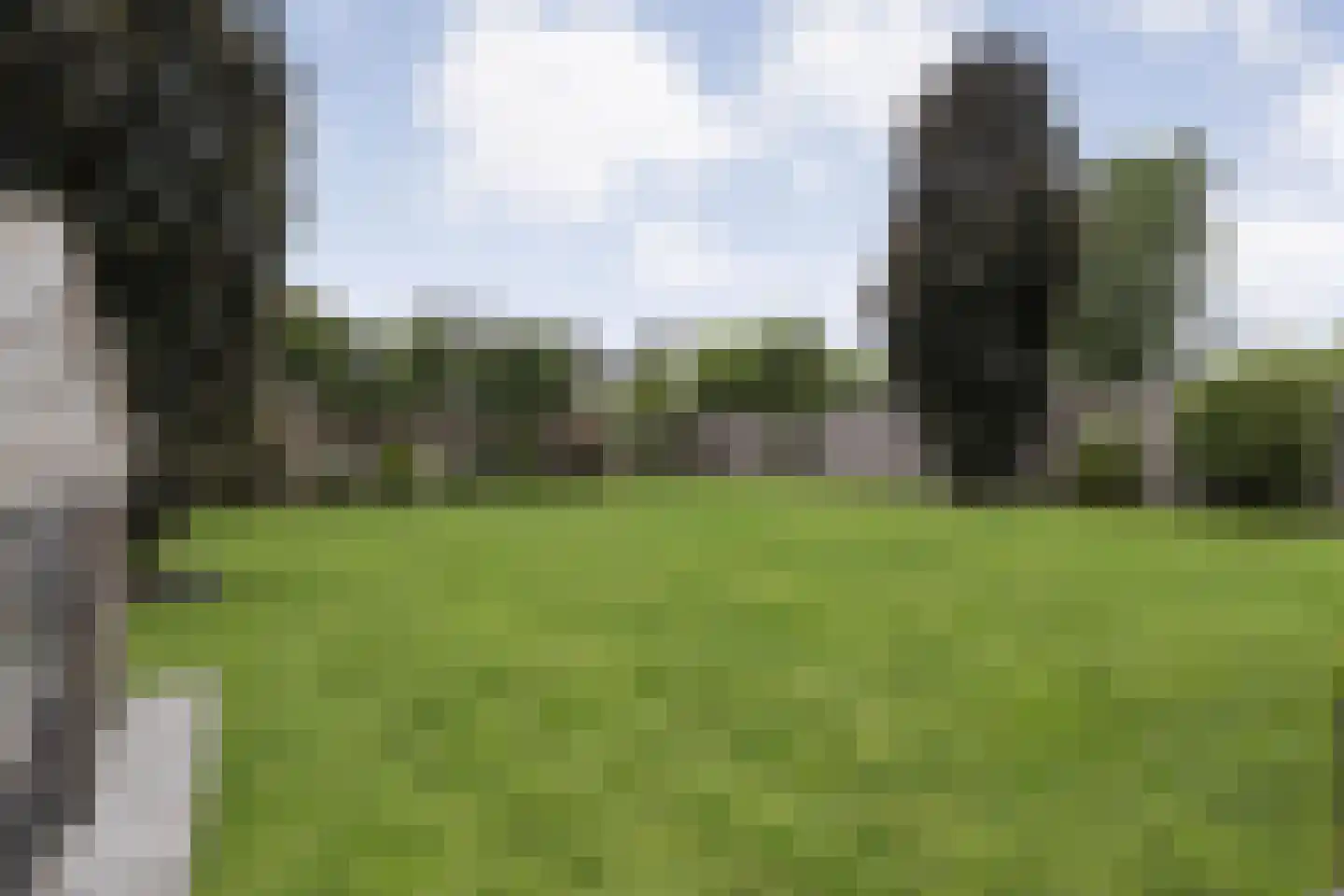Erve Nijsinck 29 Hardenberg thumbnail 56