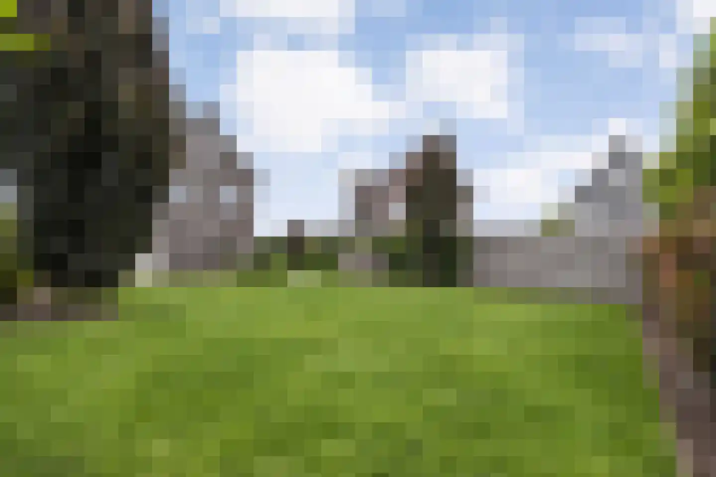 Erve Nijsinck 29 Hardenberg thumbnail 57