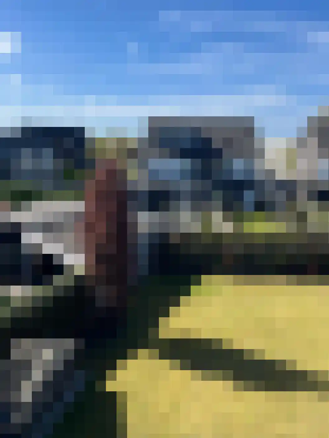 Erve Nijsinck 29 Hardenberg thumbnail 58