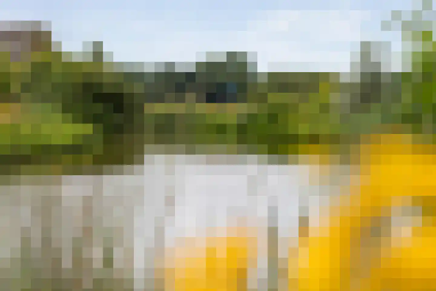Erve Nijsinck 29 Hardenberg thumbnail 64