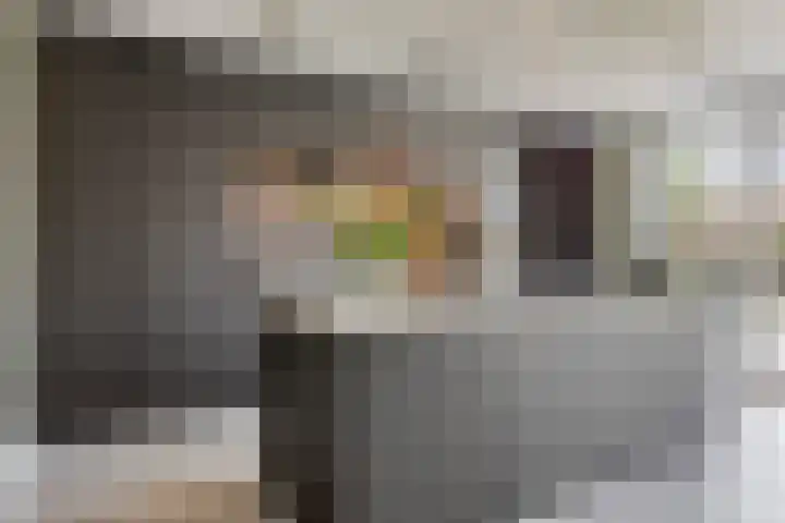 Erve Nijsinck 49 Hardenberg thumbnail 12