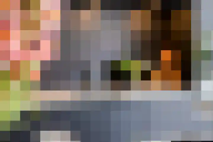 Erve Nijsinck 49 Hardenberg thumbnail 15