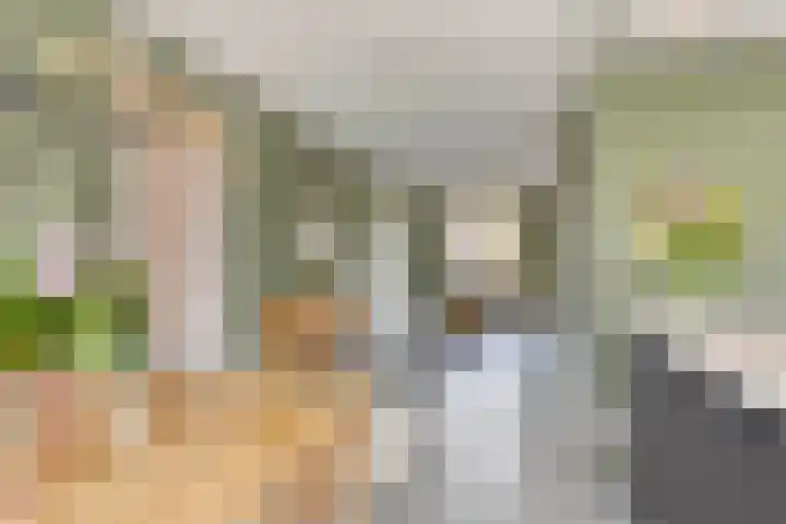 Erve Nijsinck 49 Hardenberg thumbnail 16