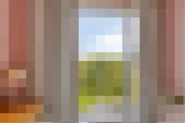 Erve Nijsinck 49 Hardenberg thumbnail 25