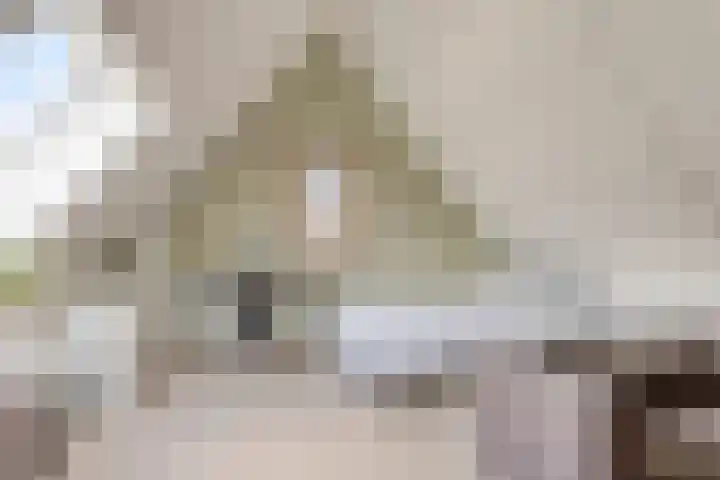 Erve Nijsinck 49 Hardenberg thumbnail 30