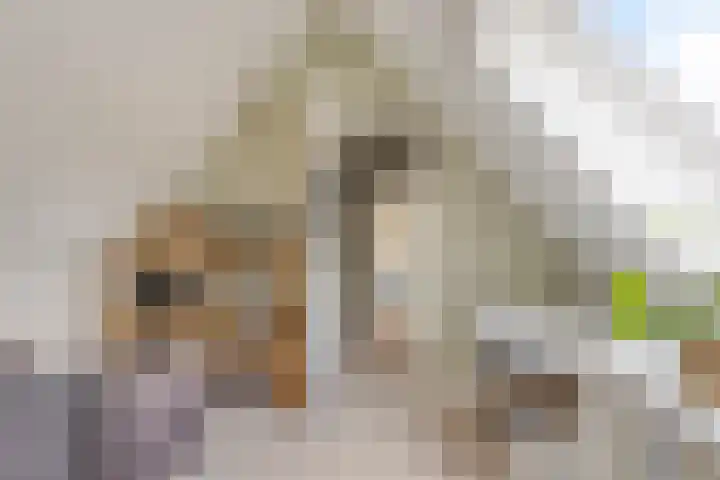 Erve Nijsinck 49 Hardenberg thumbnail 31