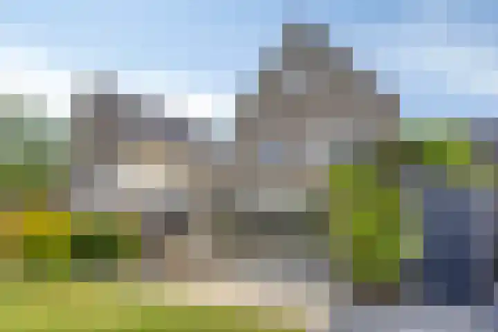 Erve Nijsinck 49 Hardenberg thumbnail 33
