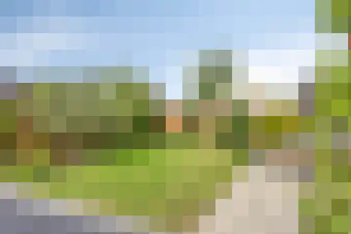 Erve Nijsinck 49 Hardenberg thumbnail 34