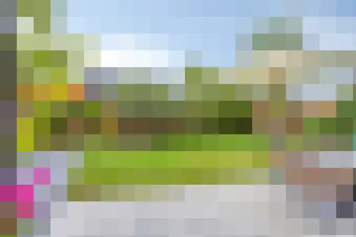 Erve Nijsinck 49 Hardenberg thumbnail 36