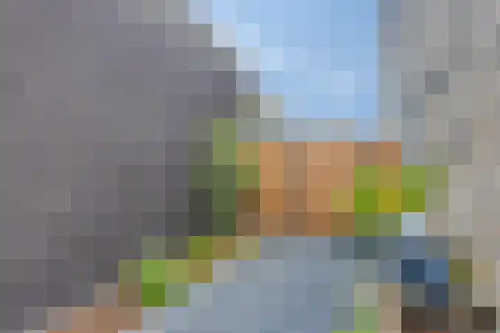 Erve Nijsinck 49 Hardenberg thumbnail 37