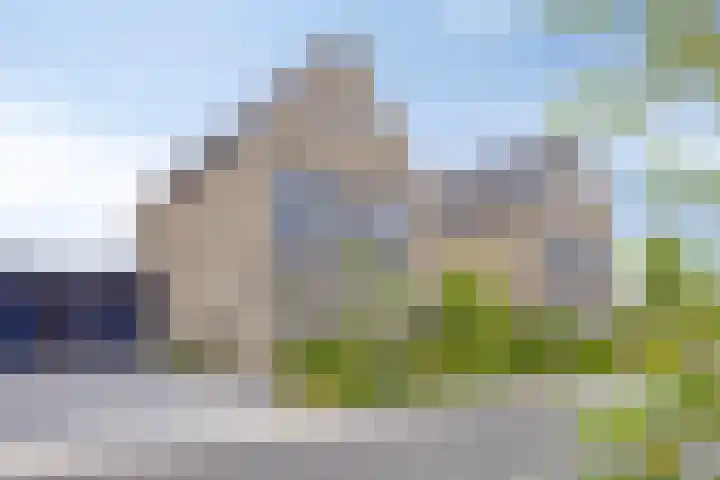 Erve Nijsinck 49 Hardenberg thumbnail 4