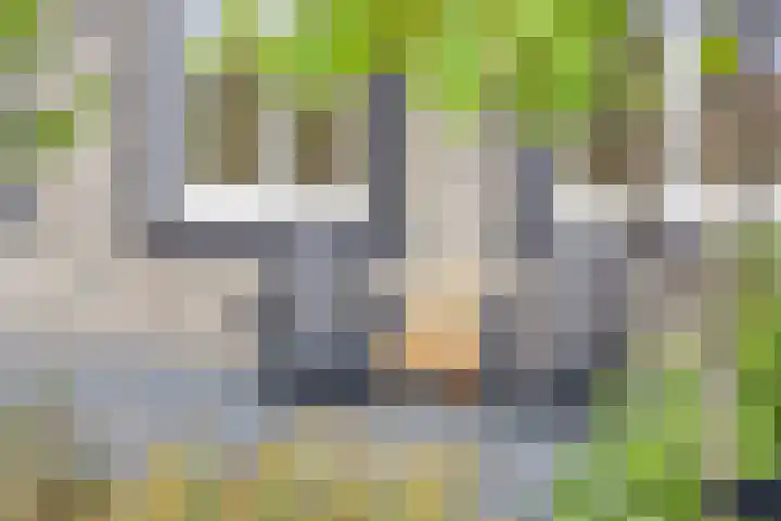Erve Nijsinck 49 Hardenberg thumbnail 40