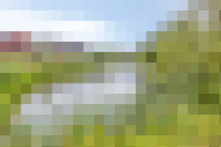Erve Nijsinck 49 Hardenberg thumbnail 41