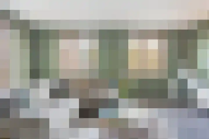 Erve Nijsinck 49 Hardenberg thumbnail 6