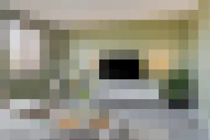 Erve Nijsinck 49 Hardenberg thumbnail 7