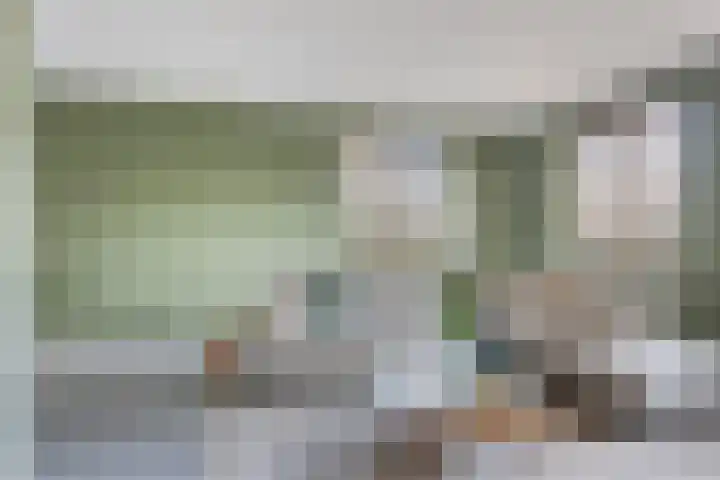 Erve Nijsinck 49 Hardenberg thumbnail 8