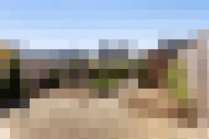 Erve Odinck 14 Hardenberg thumbnail 10