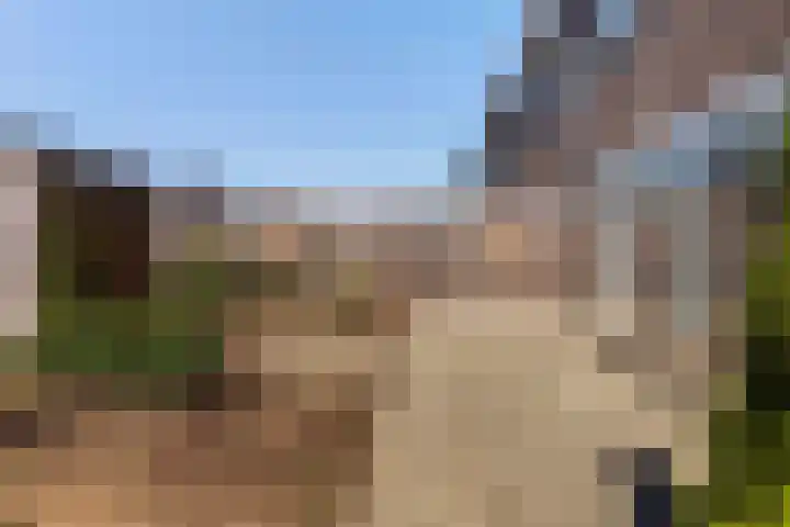 Erve Odinck 14 Hardenberg thumbnail 11