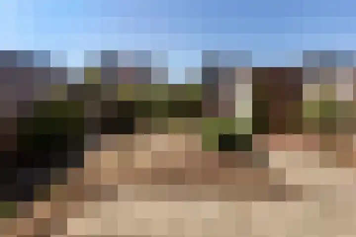 Erve Odinck 14 Hardenberg thumbnail 15