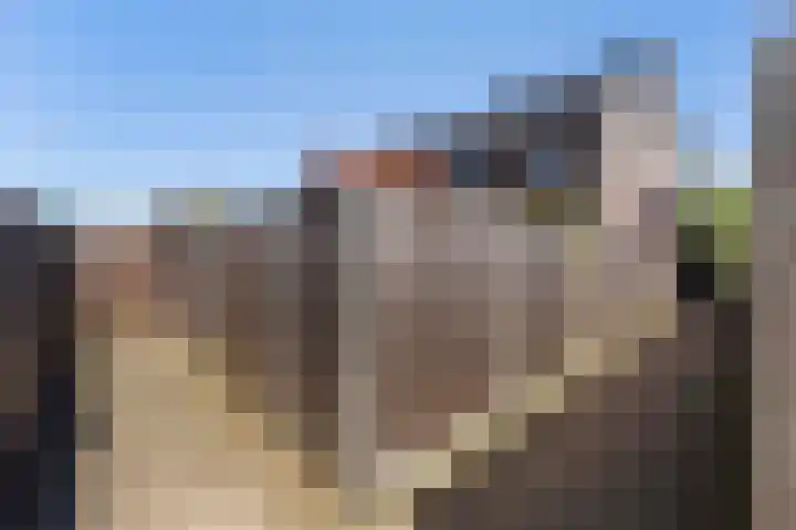 Erve Odinck 14 Hardenberg thumbnail 16
