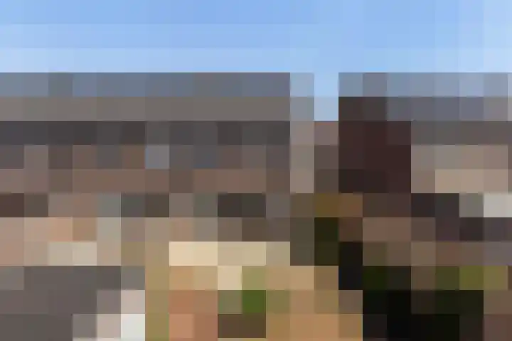 Erve Odinck 14 Hardenberg thumbnail 18