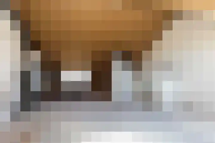 Erve Odinck 14 Hardenberg thumbnail 37