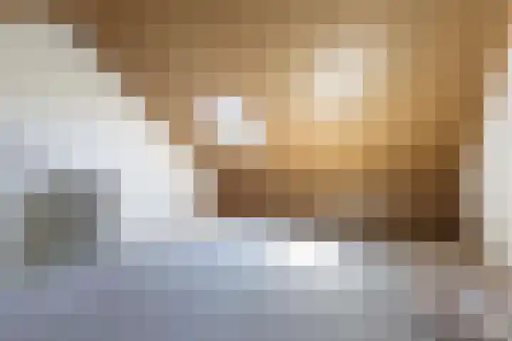Erve Odinck 14 Hardenberg thumbnail 39