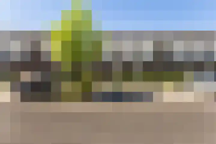 Erve Odinck 14 Hardenberg thumbnail 40