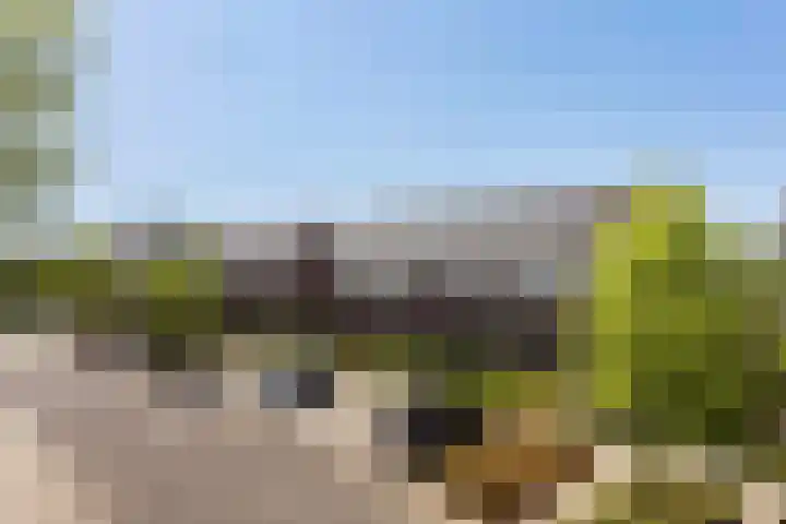 Erve Odinck 14 Hardenberg thumbnail 41