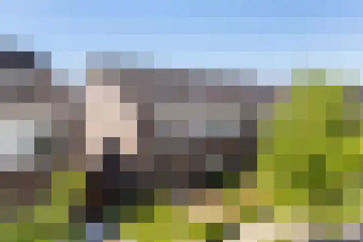 Erve Odinck 14 Hardenberg thumbnail 43