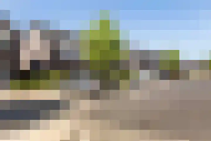 Erve Odinck 14 Hardenberg thumbnail 44