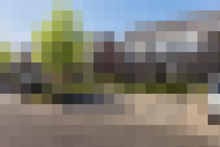 Erve Odinck 14 Hardenberg thumbnail 45
